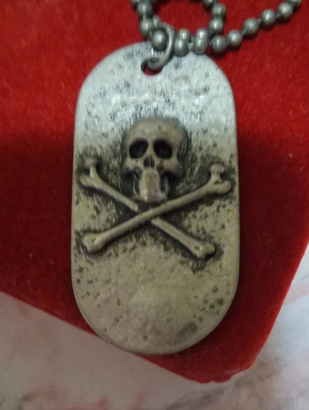Source Unknown Silver Skull & Crossbones Dog Tag Necklace
